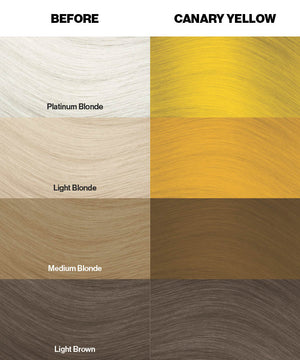 Canary Yellow - Crazy Color