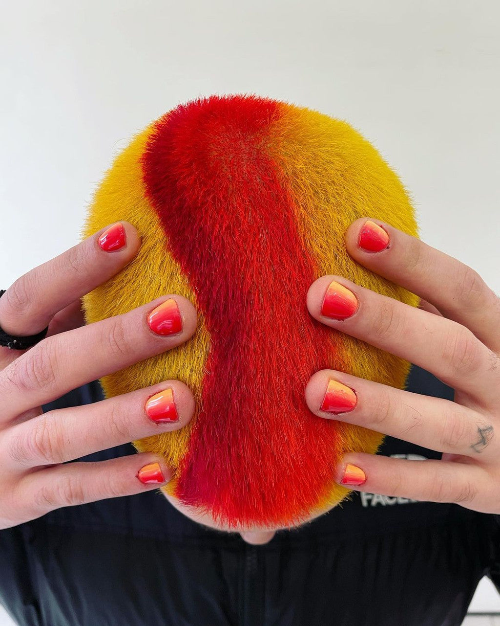 Coral Red - Crazy Color
