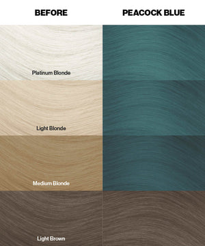 Peacock Blue - Crazy Color