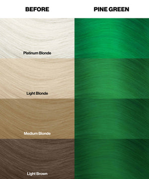 Pine Green - Crazy Color