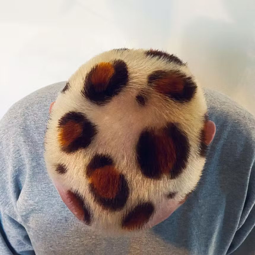 user generated close up image of mans short hair with leopard print hair dye design